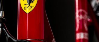 Ferrari velosipēds - veidi, plusi un mīnusi