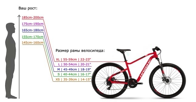 velosipēda rāmja izmērs pēc augstuma
